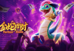 开云足球客户端