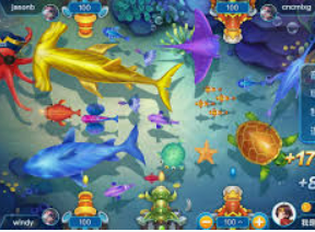 开云足球免费版